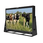 TVLogic LVM-242S