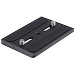 Camgear Wedge Plate WP-6